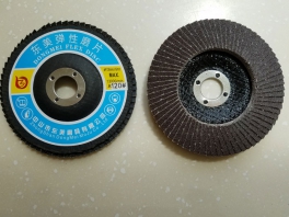 弹性磨片2